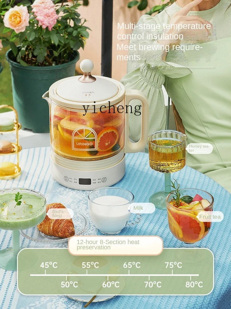 健康鍋、小型、多機能、家庭用、自動ガラス製ティーメーカー C - Health & Wellness Alegria のレビューと価格